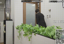 女秘书和上司偷情被我发现了,没想到反过来勾引我这个新入职的-解解图解
